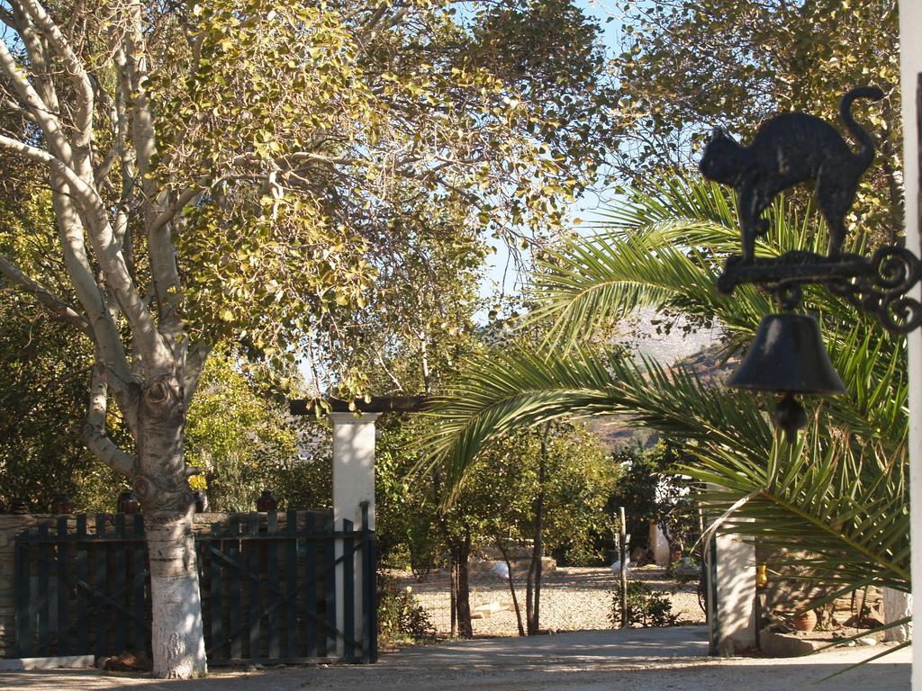 Pegasus Studios & Apartments Skyros Ngoại thất bức ảnh